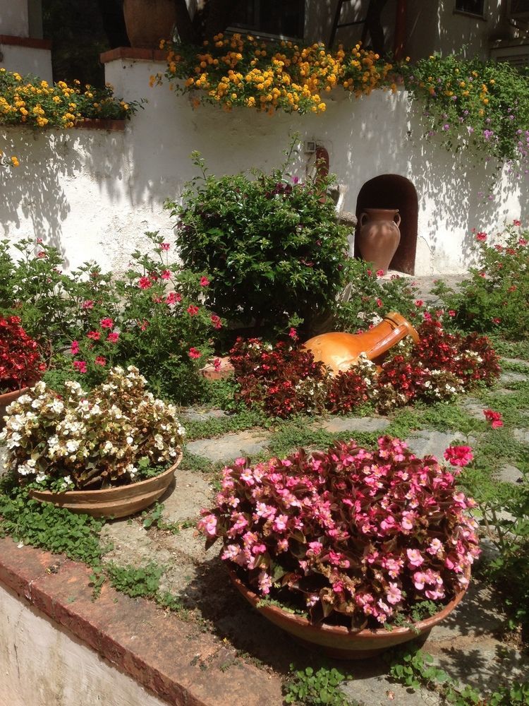 Mediterraneo Bed & Breakfast Anacapri  Exterior photo