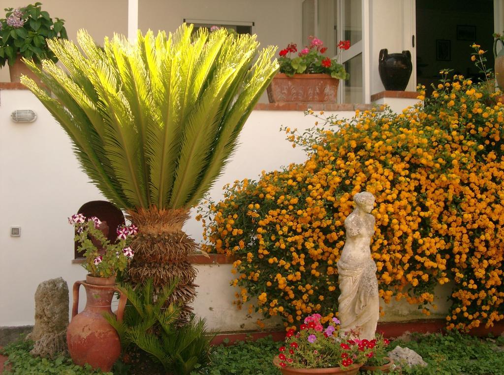 Mediterraneo Bed & Breakfast Anacapri  Exterior photo