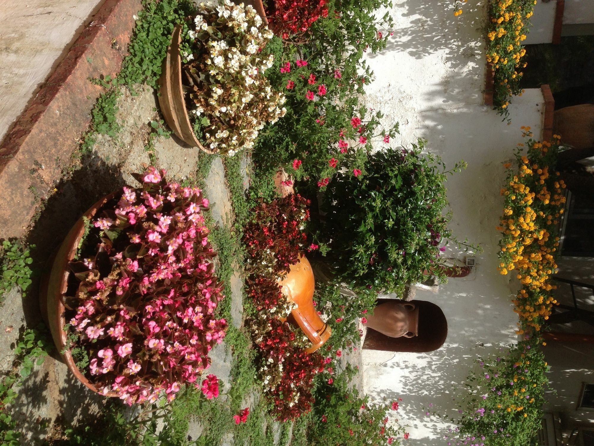 Mediterraneo Bed & Breakfast Anacapri  Exterior photo