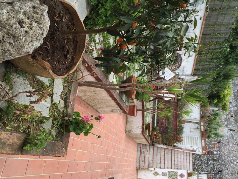 Mediterraneo Bed & Breakfast Anacapri  Exterior photo
